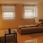 Citystyle Apartment Wifi /Parking Free